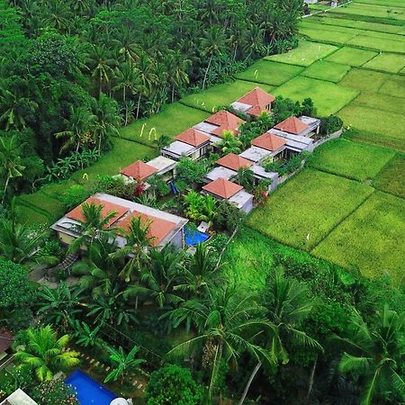 Asri Sari Ubud Villa & Resort ウブド エクステリア 写真