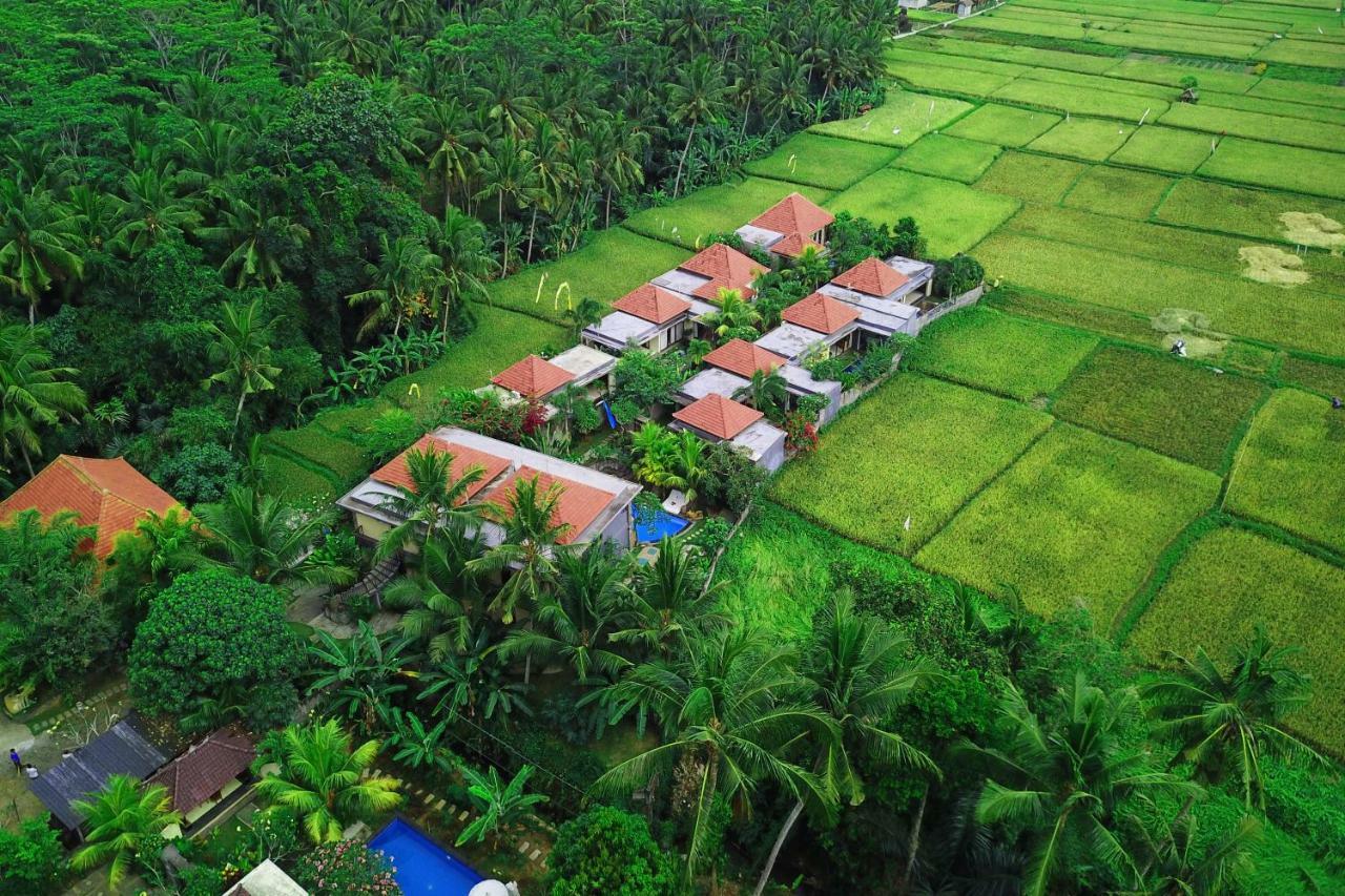 Asri Sari Ubud Villa & Resort ウブド エクステリア 写真